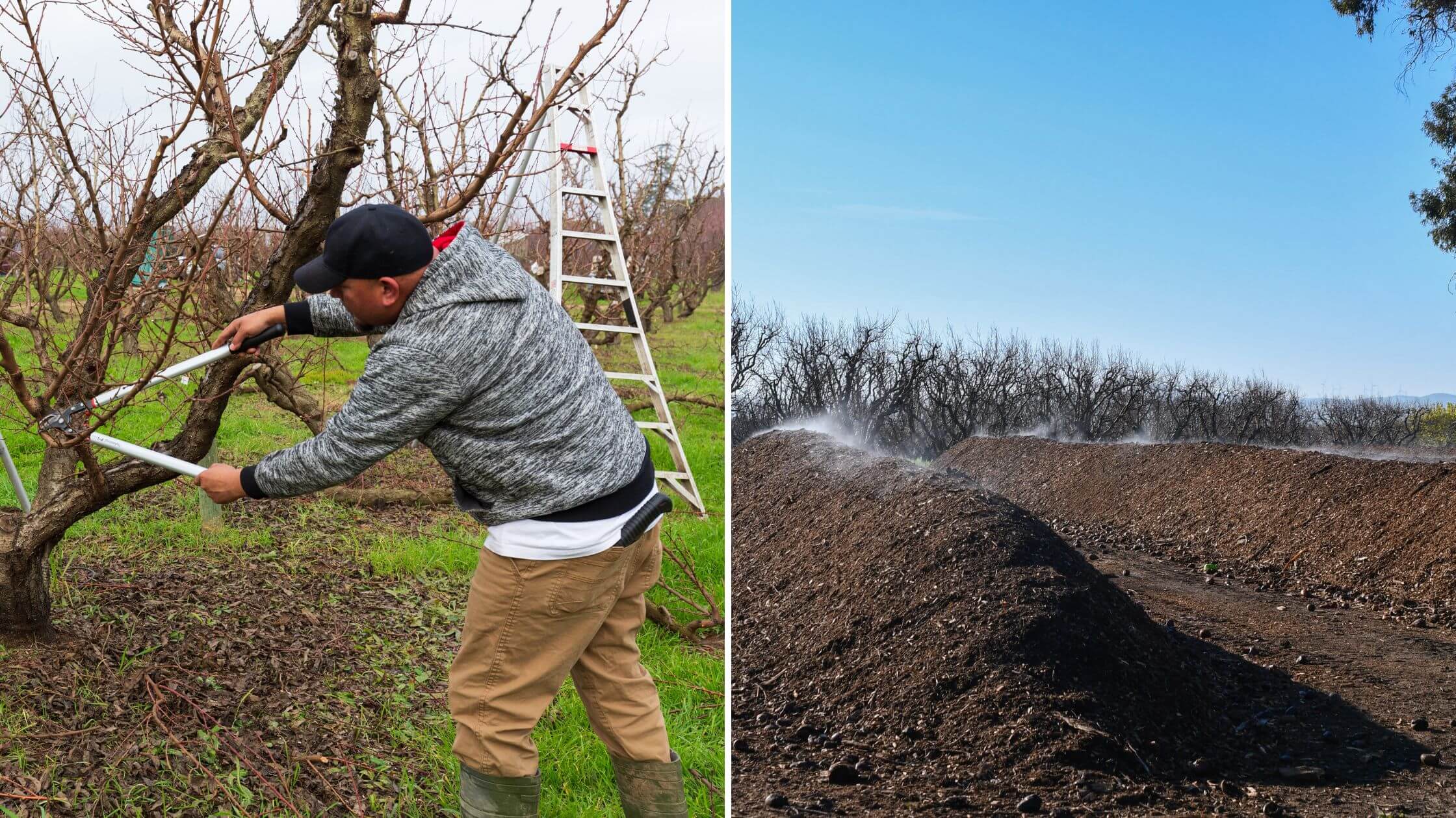Pruning and Compost Piles