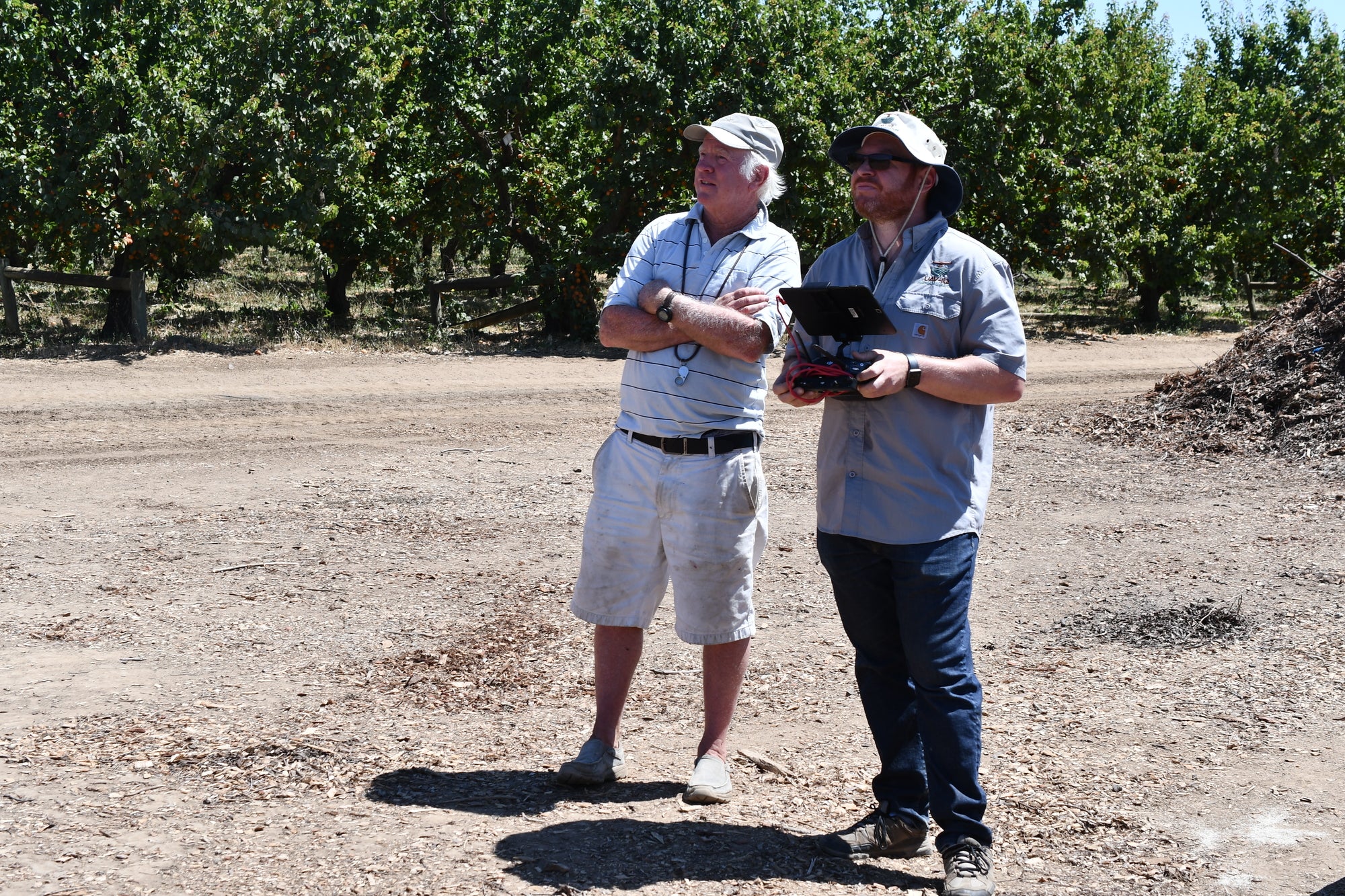 Gregg Young and Andreas from UAVIQ Precision Agriculture watching the UAV fly over the orchard