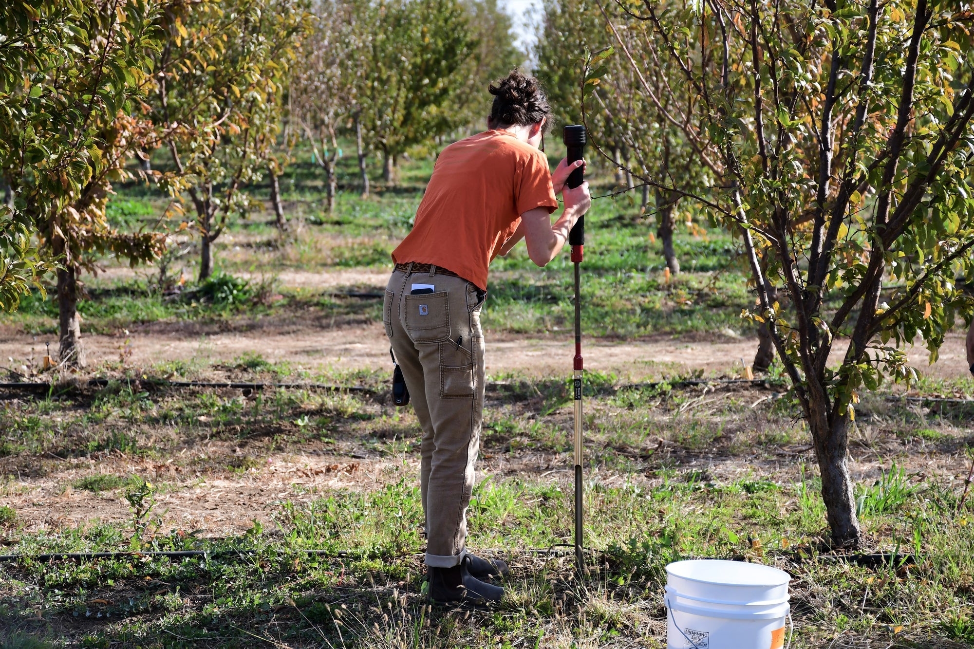 Rachel doing soil tests