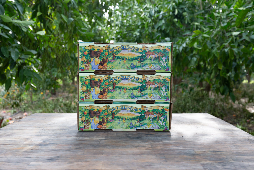 Three colorful story boxes with artfully designed graphics of animated animals in an orchard scene.