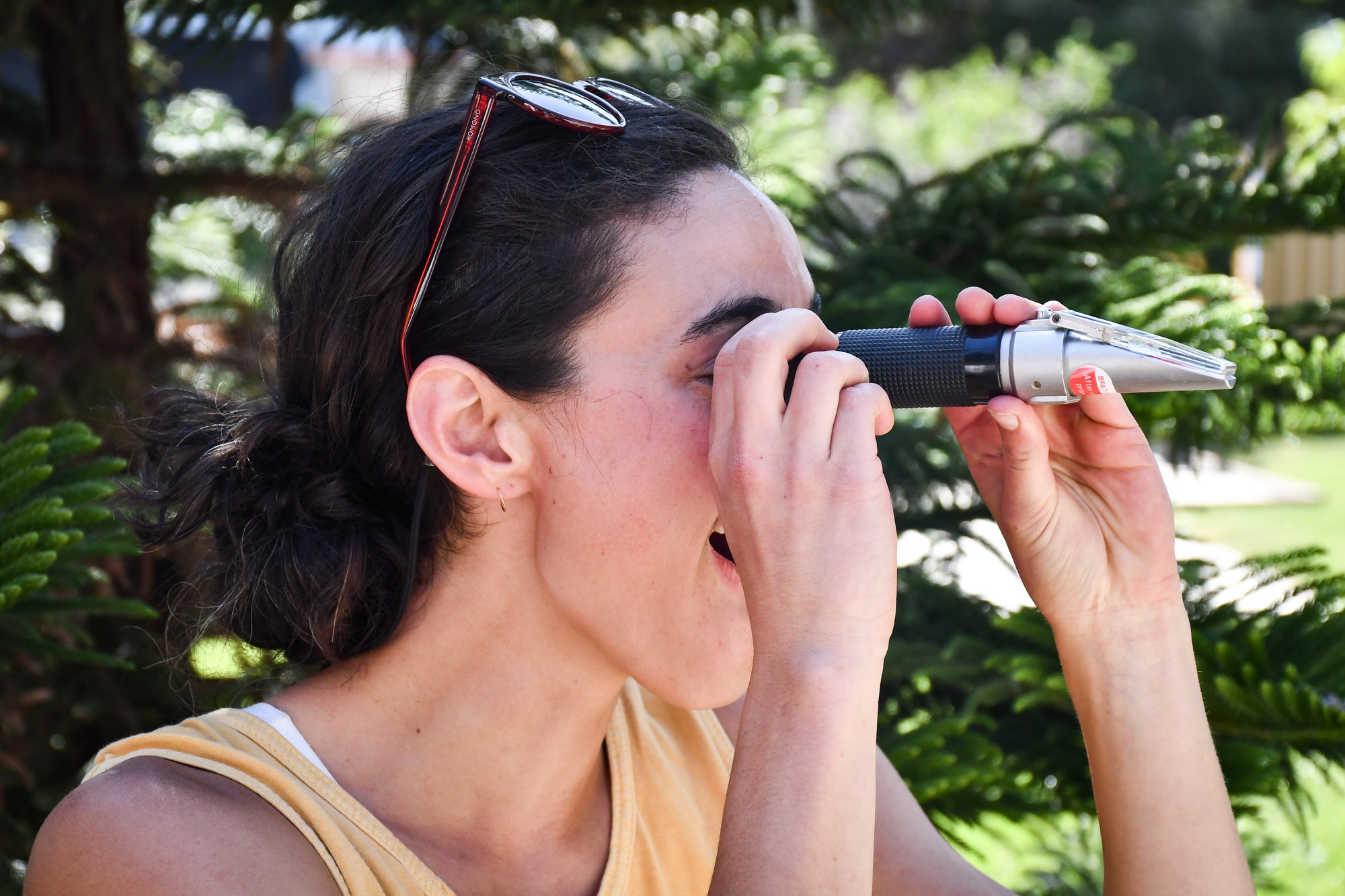 Farm Assistant Rachel Sullivan looking through a refractometer