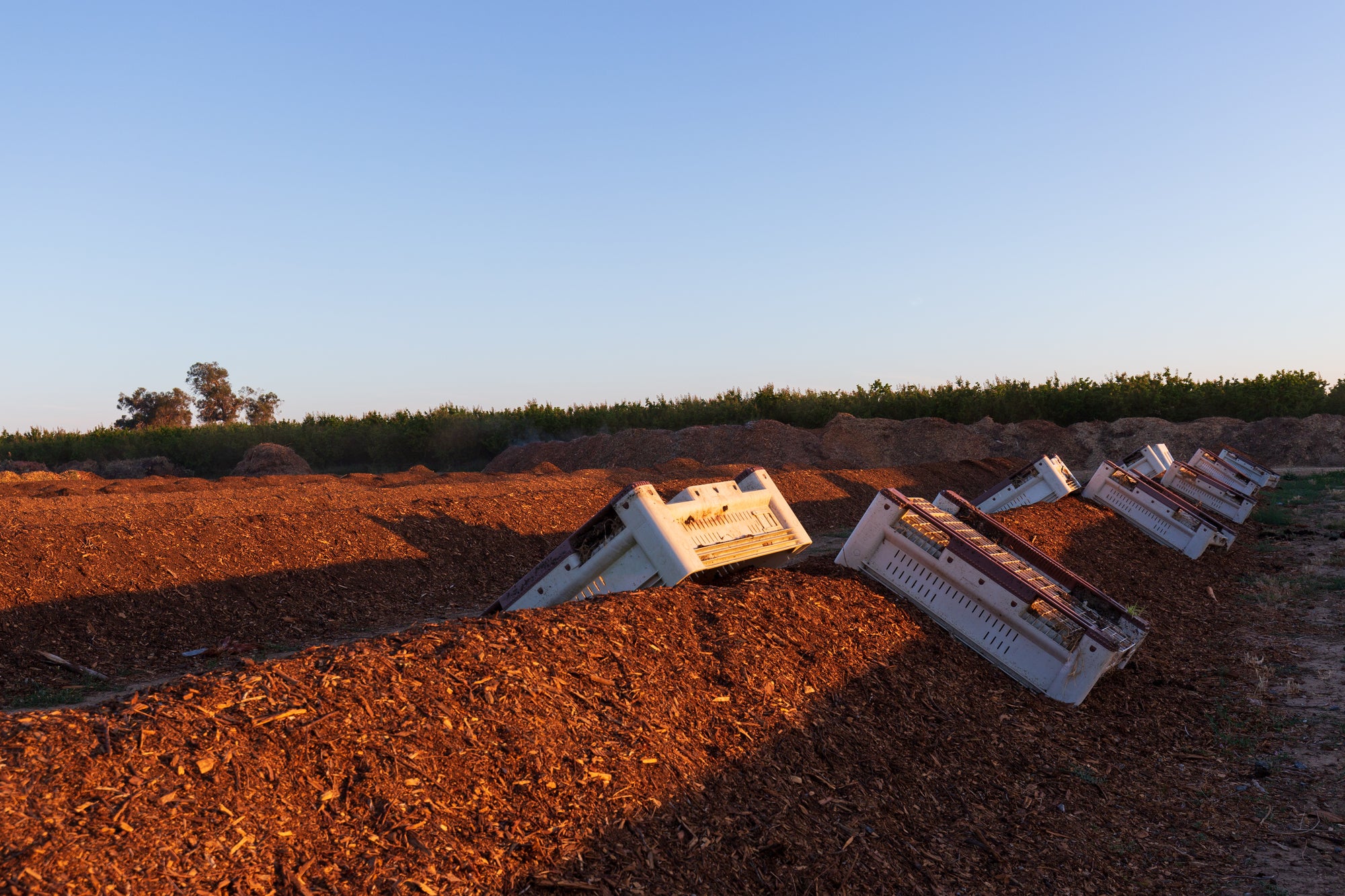 Compost piles