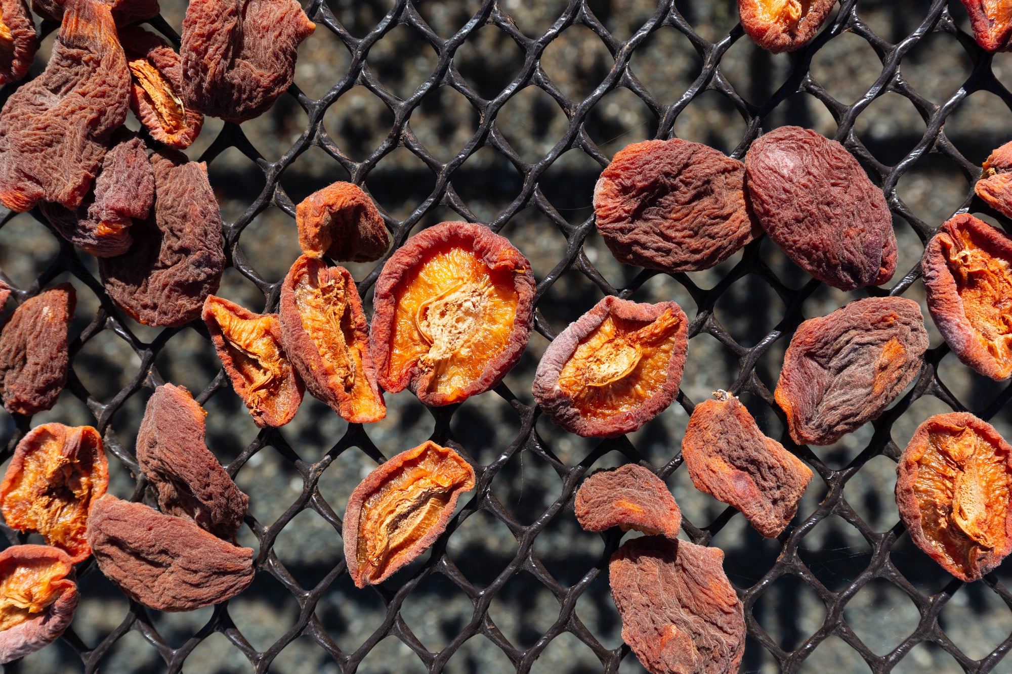 Dried apricots on rack close up