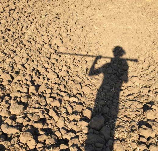 Dry Ground